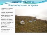 Поселок Полярка Новосибирские острова. Ландшафт состоит из крупных холмов сложенных лессом или торфом, оставшимися после таяния плейстоценового льда, - это байджерахи. Под ними лежит мощный слой вечной мерзлоты, из которого отчасти и сложены все большие острова Новосибирского архипелага. В условиях 