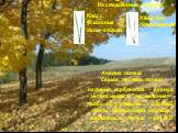 Анализ почвы Серые лесные почвы. наличие карбонатов – бурная интенсивность «вскипания» проба на сульфаты – слабый, почти прозрачный раствор кислотность почвы – рН 6.0. Класс усыхания хвои-второй. Хвоя без повреждения