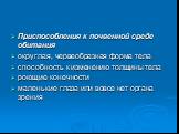 Приспособления к почвенной среде обитания округлая, червеобразная форма тела способность к изменению толщины тела роющие конечности маленькие глаза или вовсе нет органа зрения