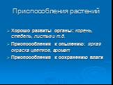 Приспособления растений. Хорошо развиты органы: корень, стебель, листья и т.д. Приспособления к опылению: яркая окраска цветков, аромат Приспособления к сохранению влаги