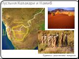 Пустыня Калахари и Намиб. Сурикаты – родственники мангустов