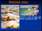 Мертвое море. Расположено на 420 м ниже уровня моря Длина-67 км, ширина-18 км, глубина 330 м. Соленость воды составляет 297‰