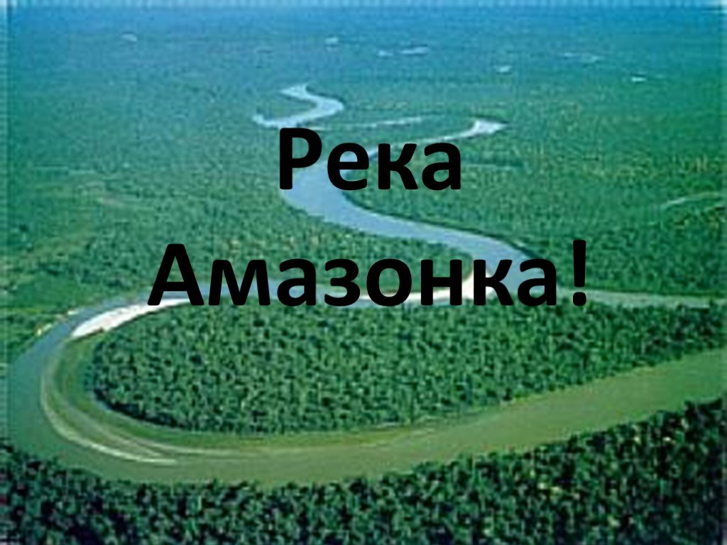 Амазонка река проект