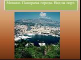 Монако. Панорама города. Вид на порт.