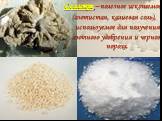 Селитра – полезное ископаемое (азотистая, калиевая соль), используемое для получения азотного удобрения и черного пороха.