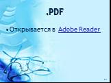 .PDF. Открывается в Adobe Reader