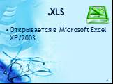 .XLS. Открывается в Microsoft Excel XP/2003