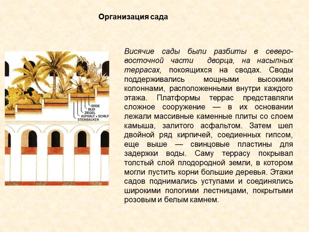 Висячие сады вавилона презентация 5 класс