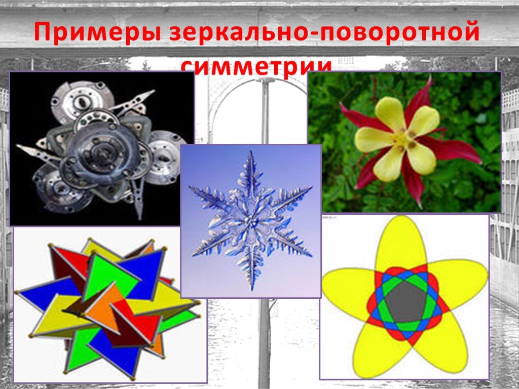 Примеры симметрии. Поворотная симметрия. Зеркально поворотная симметрия. Поворотная симметрия примеры. Поворотная симметрия в жизни.