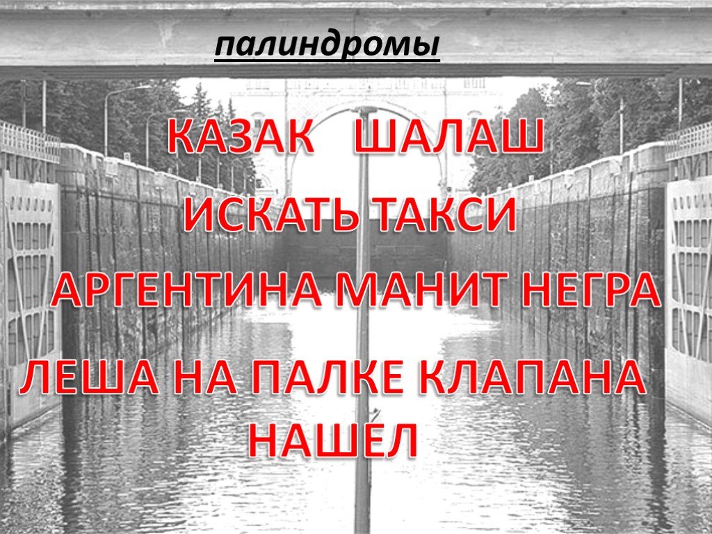 Аргентина манит. Палиндром Аргентина манит негра. Палиндромы. Искать такси палиндром. Палиндромы примеры АРГЕНТИНАМАНИТНЕГРА.