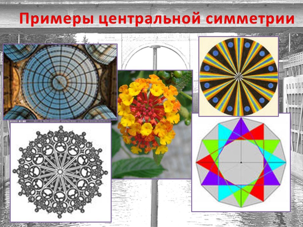 Примеры симметрии. Центральная симметрия примеры. Центральная симметрия п. Центральная симметрия прим. Примеры центральнойсиметрии.