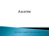 Авигея. Волков Андрей «Воскресная школа»