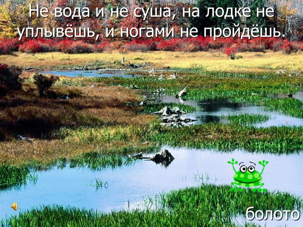 Ни вода. Не вода не суша на лодке не уплывёшь и ногами не пройдёшь. Не вода не суша на лодке. Ни вода ни суша. Загадка не вода не суша на лодке не уплывешь и ногами не пройдешь.