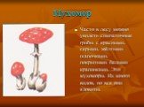 Мухомор. Часто в лесу можно увидеть симпатичные грибы с красными, серыми, жёлтыми шапочками, покрытыми белыми крапинками. Это мухоморы. Их много видов, но все они ядовиты.