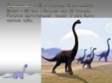 Брахиозавр – 25 м в длину, 12 м в высоту. Весил – 80 тонн ( больше чем 20 слонов). Питался растительной пищей. У него были мелкие зубы.