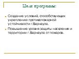 Цели программы: Создание условий, способствующих укреплению противопожарной устойчивости г.Барнаула. Повышение уровня защиты населения и территории г.Барнаула от пожаров.