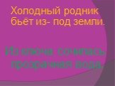 Холодный родник бьёт из- под земли. Из ключа сочилась прозрачная вода.