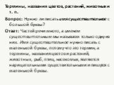 Термины, названия цветов, растений, животных и т. п. Вопрос: Нужно ли писать имя существительное с большой буквы? Ответ: Частей речи много, а именем существительным мы называем только одну из них. Имя существительное нужно писать с маленькой буквы, потому что это термин, а термины, названия цветов и