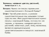 Термины, названия цветов, растений, животных и т. п. Вопрос: Нужно ли писать термин имя существительное с большой буквы? Ответ: Частей речи много, а именем существительным мы называем только одну из них. Имя существительное нужно писать с маленькой буквы, потому что это термин, а термины, названия ц