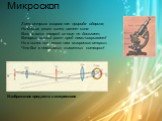 Микроскоп. Хоть острым взором нас природа одарила, Но близок оного конец имеет сила. Коль многих тварей он еще не досягает, Которых малый рост пред нами сокрывает! Но в нынешних веках нам микроскоп открыл, Что бог в невидимых животных сотворил! Изображение предмета в микроскопе