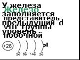 Железо представитель VIII группы побочной подгруппы. У железа заполняется предыдущий d уровень