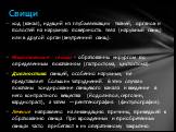 ход (канал), идущий из глубжележащих тканей, органов и полостей на наружную поверхность тела (наружный свищ) или в другой орган (внутренний свищ). Искусственные свищи - образованны хирургом по определенным показаниям (гастростома, цистостома). Диагностика свищей, особенно наружных, не представляет б