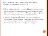 Характеристика половых органов новорожденной девочки. Девочка рождается с четко дифференцированными по женскому типу наружными половыми частями. Клитор относительно велик. Половые губы нередко отечны, гиперемированы, легко слипаются. Малые половые губы лишь частично покрыты большими. Кожа тонкая, сл