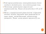 В это время девственная плева расположена более глубоко в половой щели, чем в последующие годы. Влагалище расположено параллельно вертикальной оси. Длина его колеблется от 25 до 35 мм. Матка у новорожденной располагается в брюшной полости; область наружного зева размещается не ниже линии, соответств