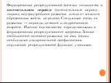 Формирование репродуктивной системы начинается в антенатальном периоде (антенатальный период - период внутриутробного развития плода от момента образования зиготы до родов). Следующие этапы ее развития — периоды детского и подросткового возраста. Именно они являются определяющими в формировании репр