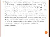 В развитии яичников различают следующие этапы: 5—7 недель — период индифферентных гонад, 7—8 недель — начало половой дифференциации, 8— 10 недель — период размножения оогоний, 10—20 недель — период неразъединенных ооцитов, 20— 38 недель — период первичных фолликулов. Гормональная активность яичников