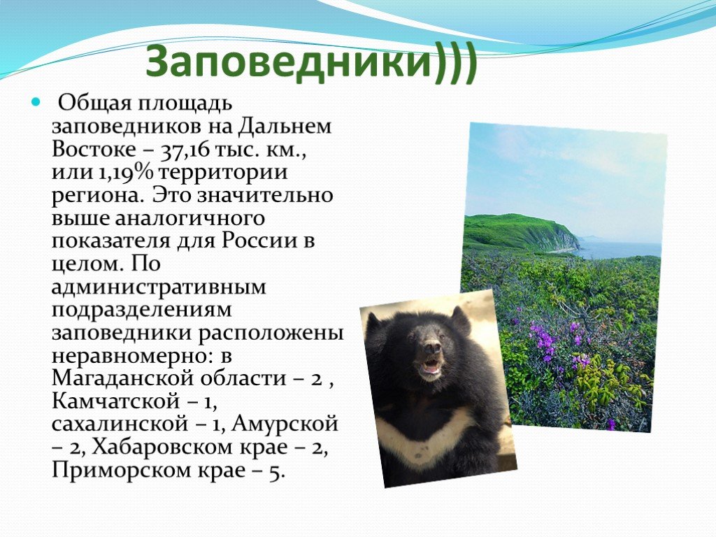 Площадь заповедников. Дальний Восток презентация. Заповедники дальнего Востока. Презентация по Дальнему востоку. Дальний Восток интересные факты.