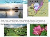Озеро Ханка). Озеро Ханка - самое большое озеро на Дальнем Востоке. Расположено на границе с Китаем. Озеро богато рыбой. На озере произрастают реликтовые растение лотос, гигантская кувшинка, листья которой достигают 2м в поперечнике, водяной орех.
