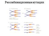 Рекомбинационные мутации