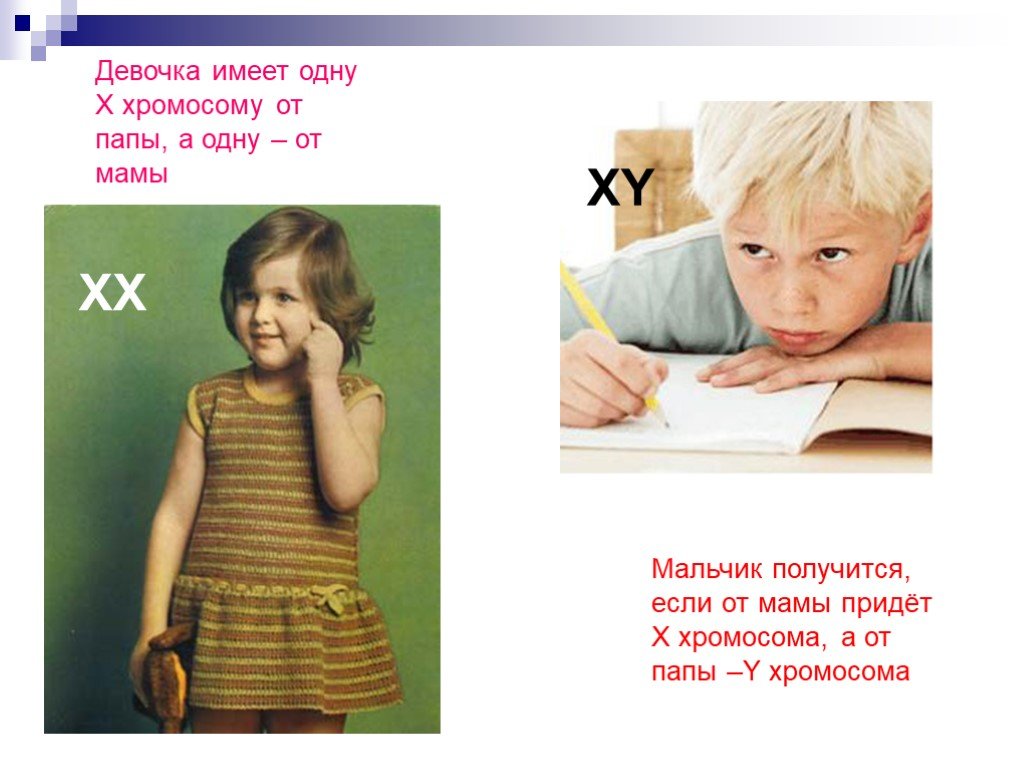 Пол от отца зависит. Хромосомы мальчика и девочки. Мальчик это XY хромосома. Девочка XY хромосомы или.