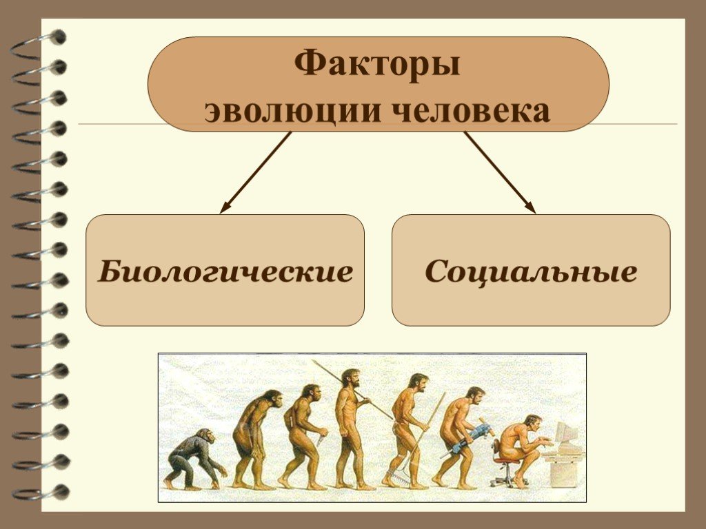Факторы эволюции человека кратко. Биологические факторы эволюции человека. Социальные факторы эволюции человека. Биологические и социальные факторы эволюции человека. Биологические и социальные факторы развития человека.