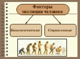 Факторы эволюции человека. Биологические Социальные