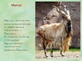 Мархур. Мархур – вид горного козла, который обитает на северо-востоке Афганистана и Пакистана. Их осталось не более 2500 особей. Мархур является национальным символом Пакистана.