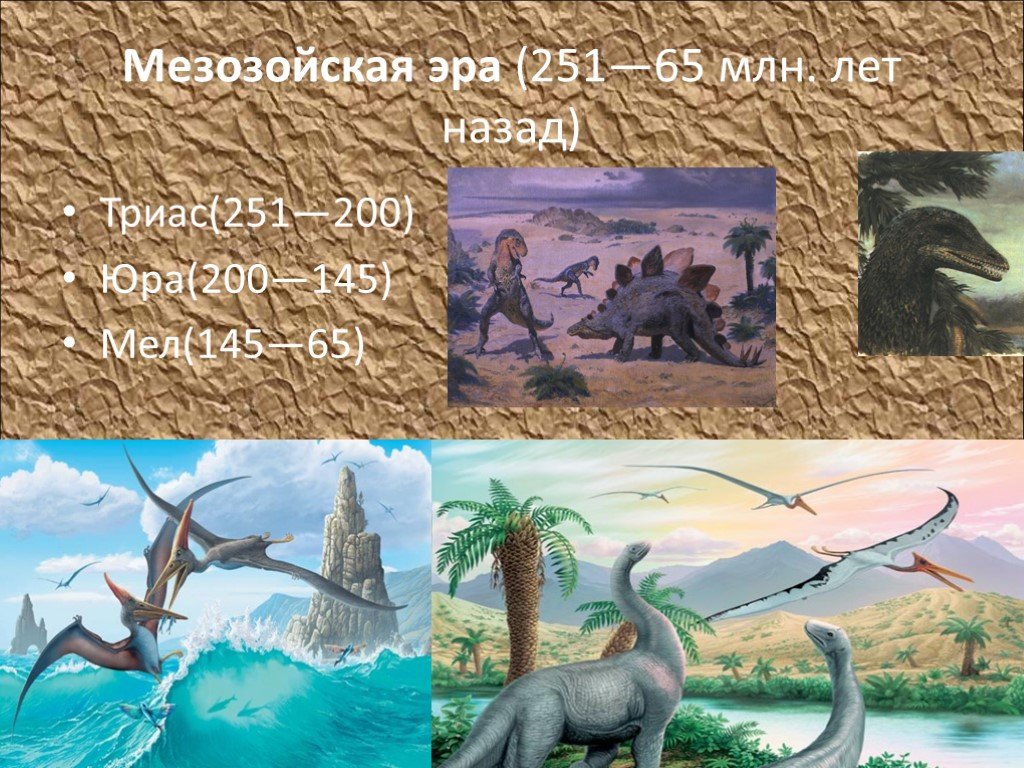 Мезозойская Эра Триас. Мезозойская Эра Триас Юра мел. Карта мезозойской эры. Мезозойская Эра животные и растения.
