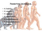 Развитие Человека. H. habilis H. erectus H. ergaster H. cepranensis H. heidelbergensis H. Neanderthalensis H. sapiens