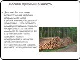 Лесная промышленность. Дальний Восток имеет ресурсную базу объёмом примерно 20 млрд кубических метров деловой древесины — это четверть российских запасов. Уровень переработки составляет около 30 %. Реализуется 12 крупных проектов по созданию новых предприятий в области деревопереработки, которые поз