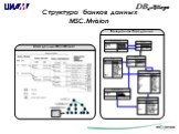Структура банков данных MSC.Mvision