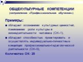 ОБЩЕКУЛЬТУРНЫЕ КОМПЕТЕНЦИИ (направление «Профессиональное обучение»). Примеры: обладает осознанием культурных ценностей, пониманием роли культуры в жизнедеятельности человека (ОК-1); обладает способностью проектировать и осуществлять индивидуально-личностные концепции профессионально-педагогической 