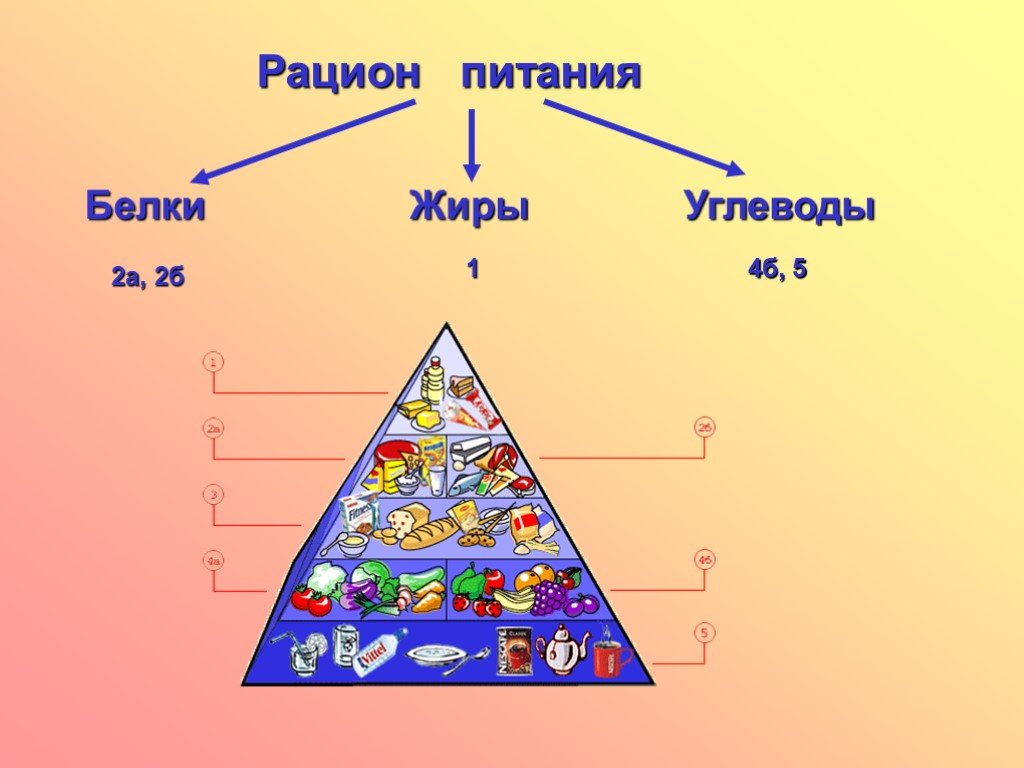 Презентация жиры белки и углеводы 9 класс химия