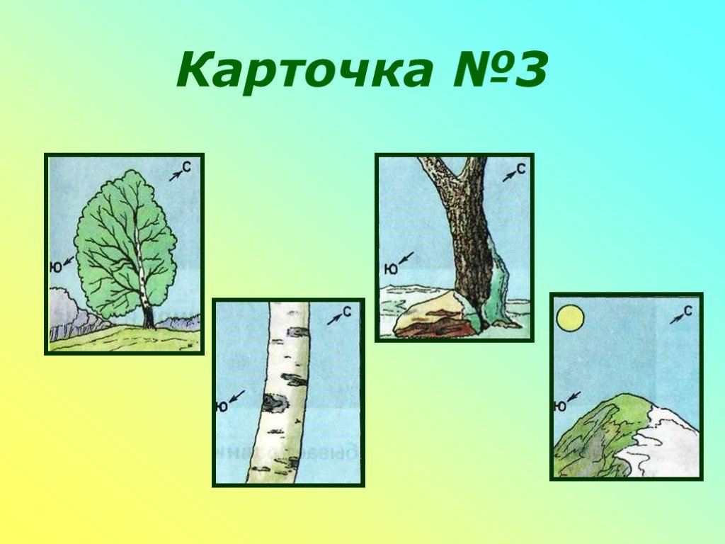 Толя коля и оля рисовали картинки изображающие разные формы земной поверхности