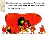 Blood carries tiny particles of food in the liver. Liver sorts food so that it is ready for use by the body.