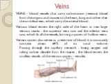 Veins. VEINS - blood vessels that carry carbonation (venous) blood from the organs and tissues to the heart, lung and other than the umbilical vein, which carry the arterial blood . Venous blood enters the right side of the heart in two large venous trunks : the superior vena cava and the inferior v