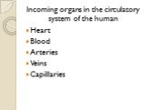 Incoming organs in the circulatory system of the human. Heart Blood Arteries Veins Capillaries