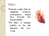 Muscular organ that, by repeated rhythmic contractions blood flow through the blood vessels. The heart is located slightly to the left, between the two lungs.