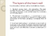 The layers of the heart wall. Conditionally in the heart wall can be divided into 3 layers: 1. External mucous layer - the pericardium. This layer provides slip heart when working inside the pericardial. It is this layer of the heart is not worried about his movements surrounding organs. 2. Muscle l