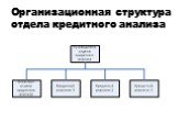 Организационная структура отдела кредитного анализа